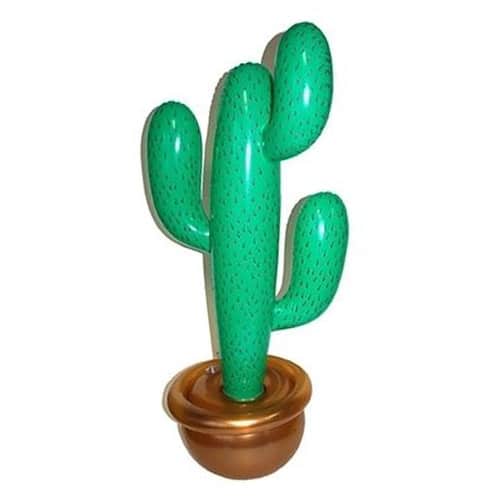 Opblaasbare cactus