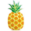 Ananas luchtbed