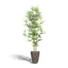 Kunst bamboe boom groen bruin