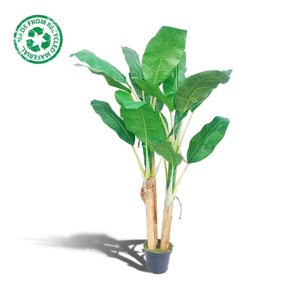 Brochure Meenemen te rechtvaardigen Kunstplant bananenboom - 175 cm kopen? Happyshopper - Dat is leuk winkelen!