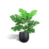 Kunst monstera