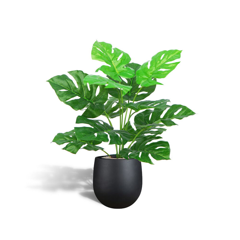 Kunst monstera