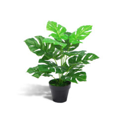 Kunstplant monstera