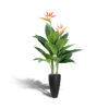 Kunst paradijsvogel plant sterilitzia