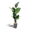 Kunst paradijsvogelplant 150cm