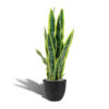 Kunst sanseveria 65 cm