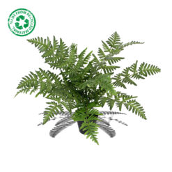 Alternative view of Kunstplant krulvaren - 50 cm - groen