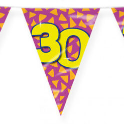 Alternative view of Vlaggenlijn 30 jaar