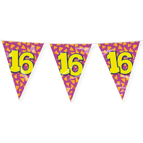 Vlaggenlijn 16 jaar