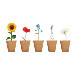 Kweekset bloemen