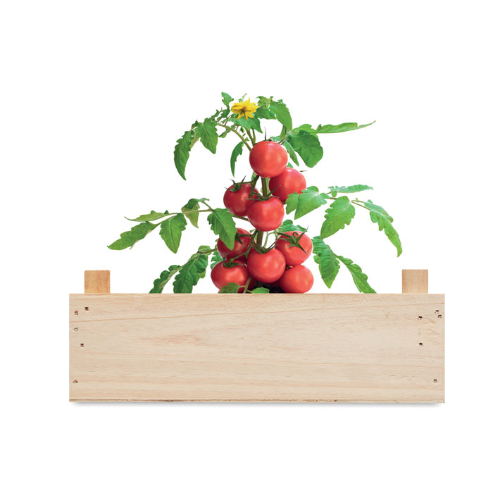 Kweekset tomaten
