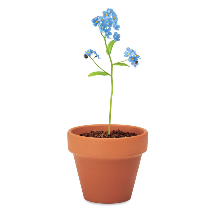 Vergeet me nietjes in bloempotje - Bedankt juf cadeau - Afbeelding 3