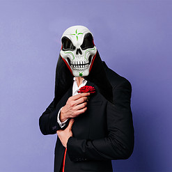 Alternative view of Halloween skull masker