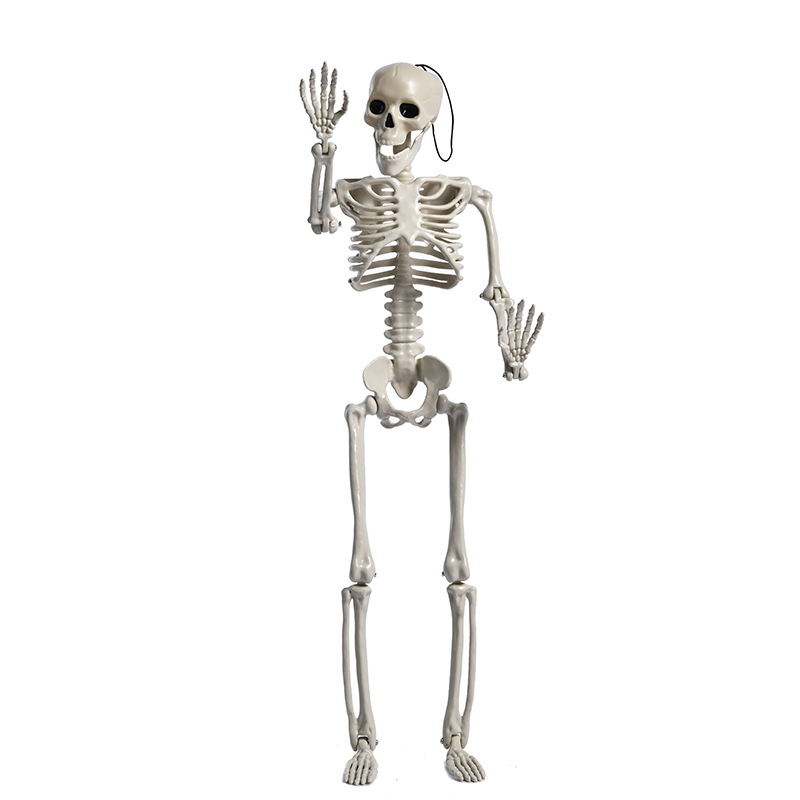Halloween hangdecoratie skelet 40 cm wit