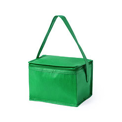Camping koeltasje 4 liter groen