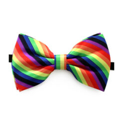 Vlinderstrik regenboog