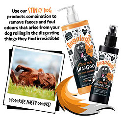 Alternative view of Bugalugs stinky honden deodorant spray met geurneutralisator