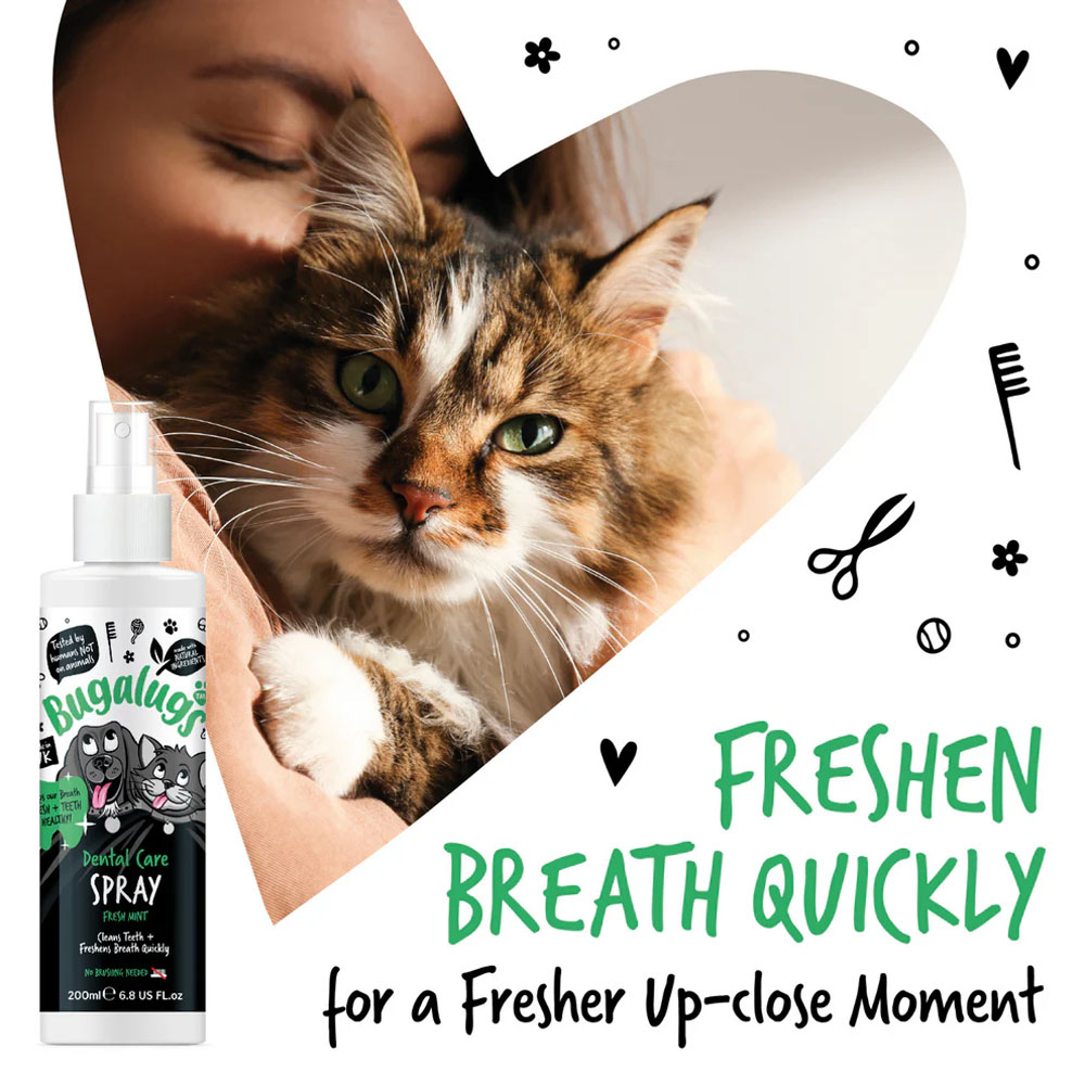 Bugalugs tandverzorgingsspray met verse munt voor honden en katten - Afbeelding 4