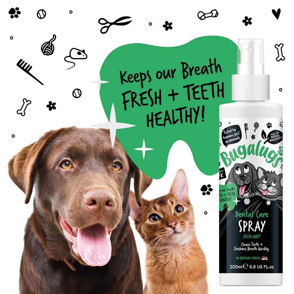 Bugalugs tandverzorgingsspray met verse munt voor honden en katten - Afbeelding 5