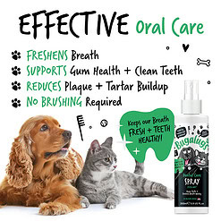 Alternative view of Bugalugs tandverzorgingsspray met verse munt voor honden en katten