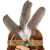 Hoofdband met veren - Indianentooi