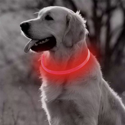 LED Hondenhalsband – Oplaadbaar – Lichtgevende Halsband Hond – 3 Lichtstanden – 70 cm – Grote Honden - Rood - Afbeelding 5
