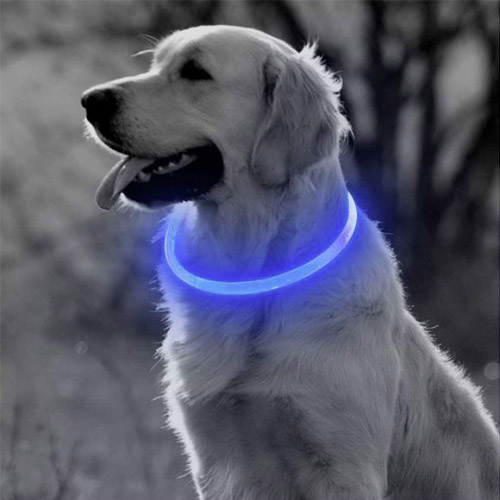 LED Hondenhalsband – Oplaadbaar – Lichtgevende Halsband Hond – 3 Lichtstanden – 50 cm – Middelgrote Honden - Blauw - Afbeelding 4