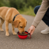 Opvouwbare voer- en drinkbak met karabijnhaak - Geschikt voor honden en katten - Rood - Afbeelding 9