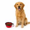 Opvouwbare voer- en drinkbak met karabijnhaak - Geschikt voor honden en katten - Rood - Afbeelding 2