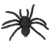 12 Nepspinnen - Halloween - Zwart - Afbeelding 3