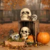 Schedel - Halloween - 15 x 20 x 16 cm - Afbeelding 5