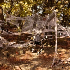 Alternative view of Spinnenweb met spinnen - Halloween