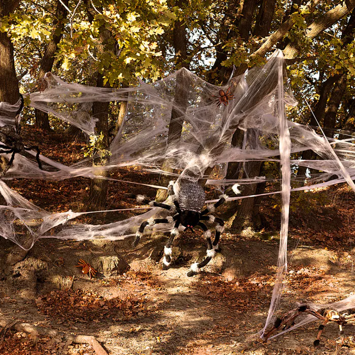 Spinnenweb met spinnen - Halloween - Afbeelding 2