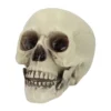 Schedel - Halloween - 15 x 20 x 16 cm