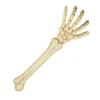 Skeletarm - Halloween - 46 cm